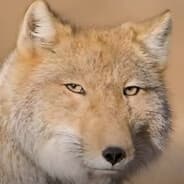 Ragnar Longcock