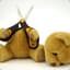 AhappyTeddybear