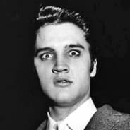 Elvis Presley 2.0