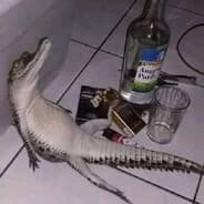 бомбоклак