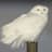 SnowyOwl