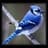 Blujay