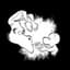 Mr_Tubercule