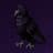 Raven