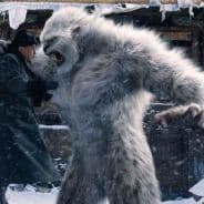 {DHC} Yeti