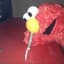 Elmo