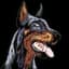 Doberman
