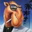 Joe Camel