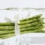 Hydrodynamic Asparagus