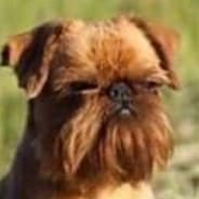 Bark! Bark!