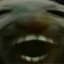 V.