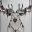 Deers