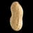 Peanut