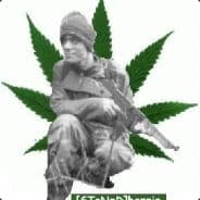 [SToNeD]Lordlapswans