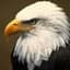 Eagled