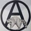 AnarcoRaccoon
