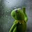 Kermit-
