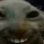 xdd
