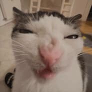 lemn