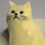 catbutter