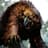 Owlbear