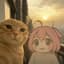 特種作戰の偵察兵猫猫
