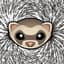 TheFerrousFerret
