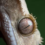 NotHelpful