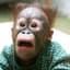 BaronVonMonkey