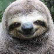 ◯ | Mr.Slothman