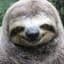 ◯ | Mr.Slothman