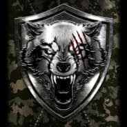 IronWolf131