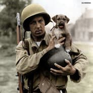 ChickenHawk-NL