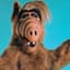Alf