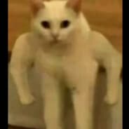 El Macho Gato