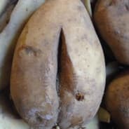 Pvt. Potatussy