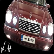 Holsteri