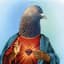 PigeonDieu
