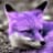 PurpleFox