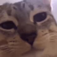 Kxnta