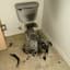 Destroyer of Bathrooms