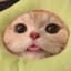 Tamagotchi