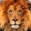 YouLionToMe