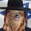 Jewbacca