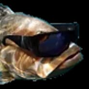 Cool Fish