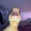 Duckyy445