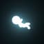 deadhok