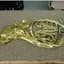 TheFlatFrenchHorn