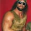 Randy Savage