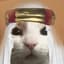 Saddam Meowsein